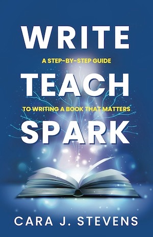 Hero Book
